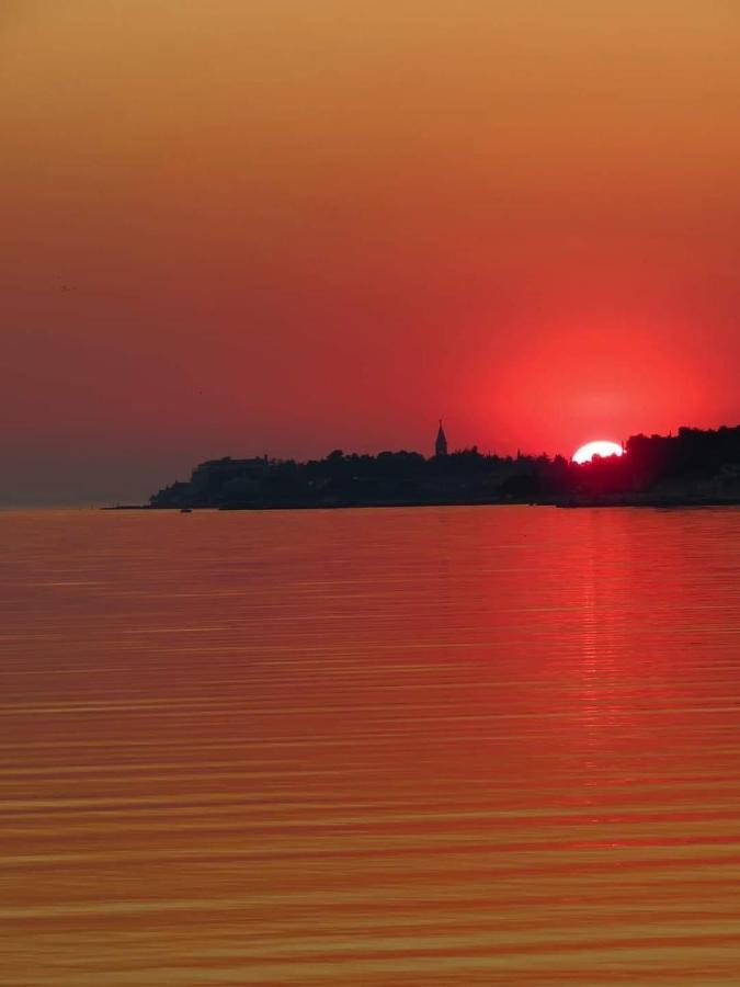 Apartments Roberta Novigrad Istria Dış mekan fotoğraf