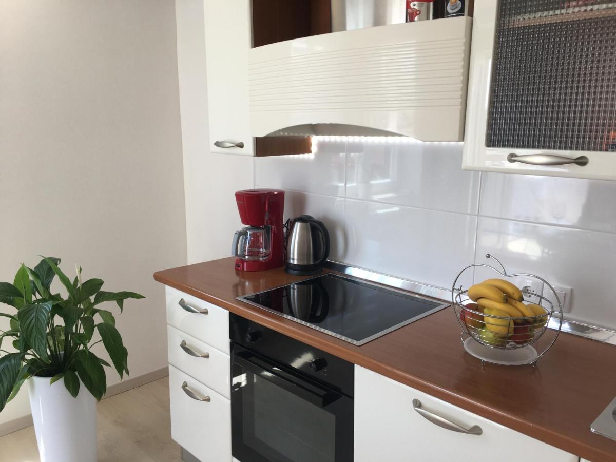 Apartments Roberta Novigrad Istria Dış mekan fotoğraf