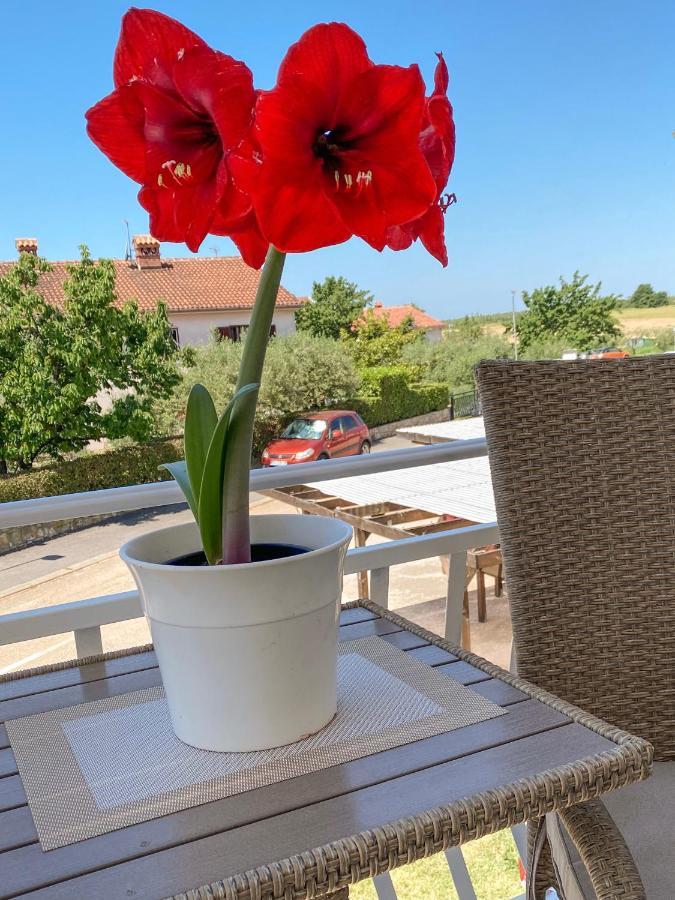Apartments Roberta Novigrad Istria Dış mekan fotoğraf