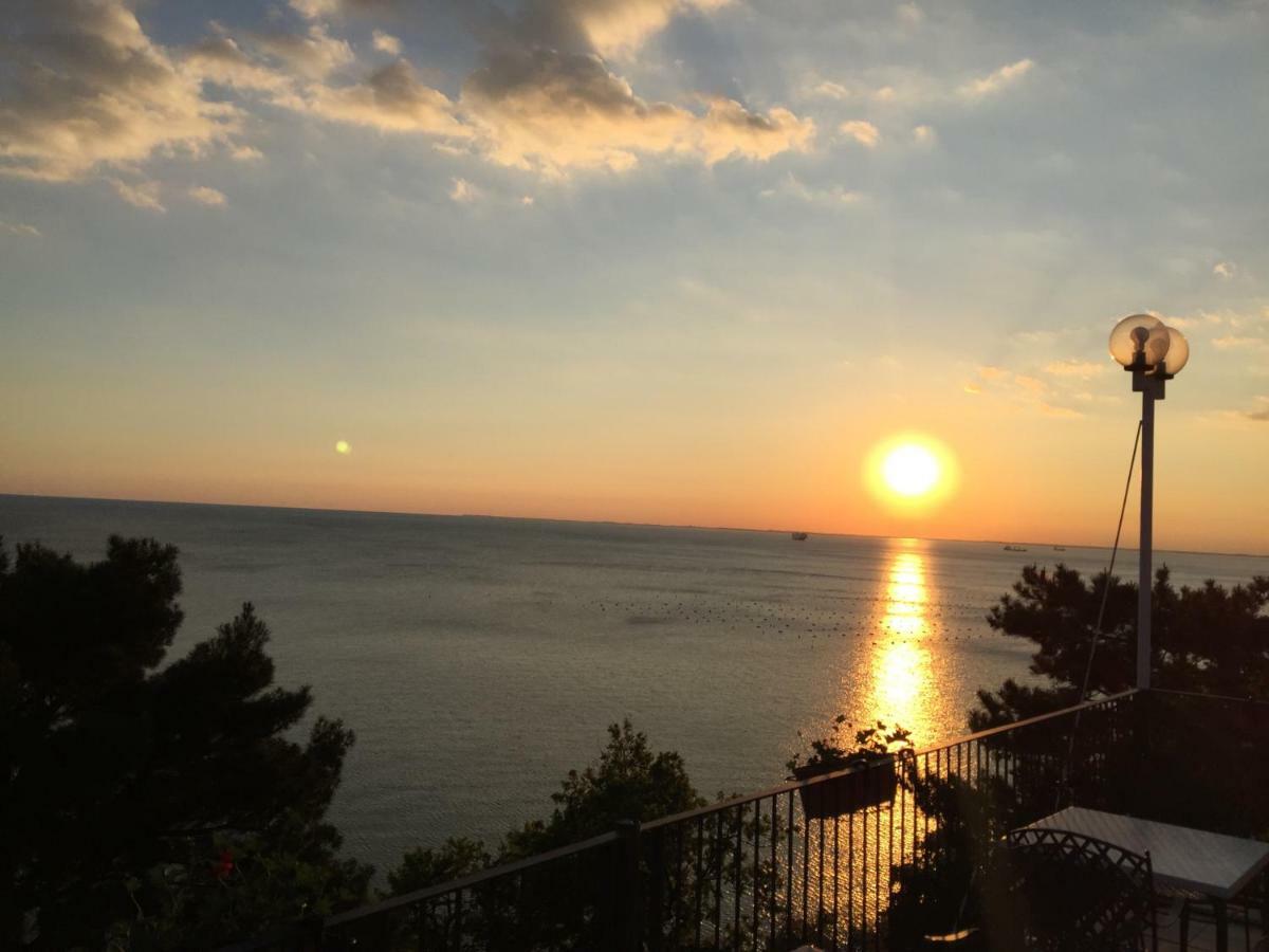Apartments Roberta Novigrad Istria Dış mekan fotoğraf