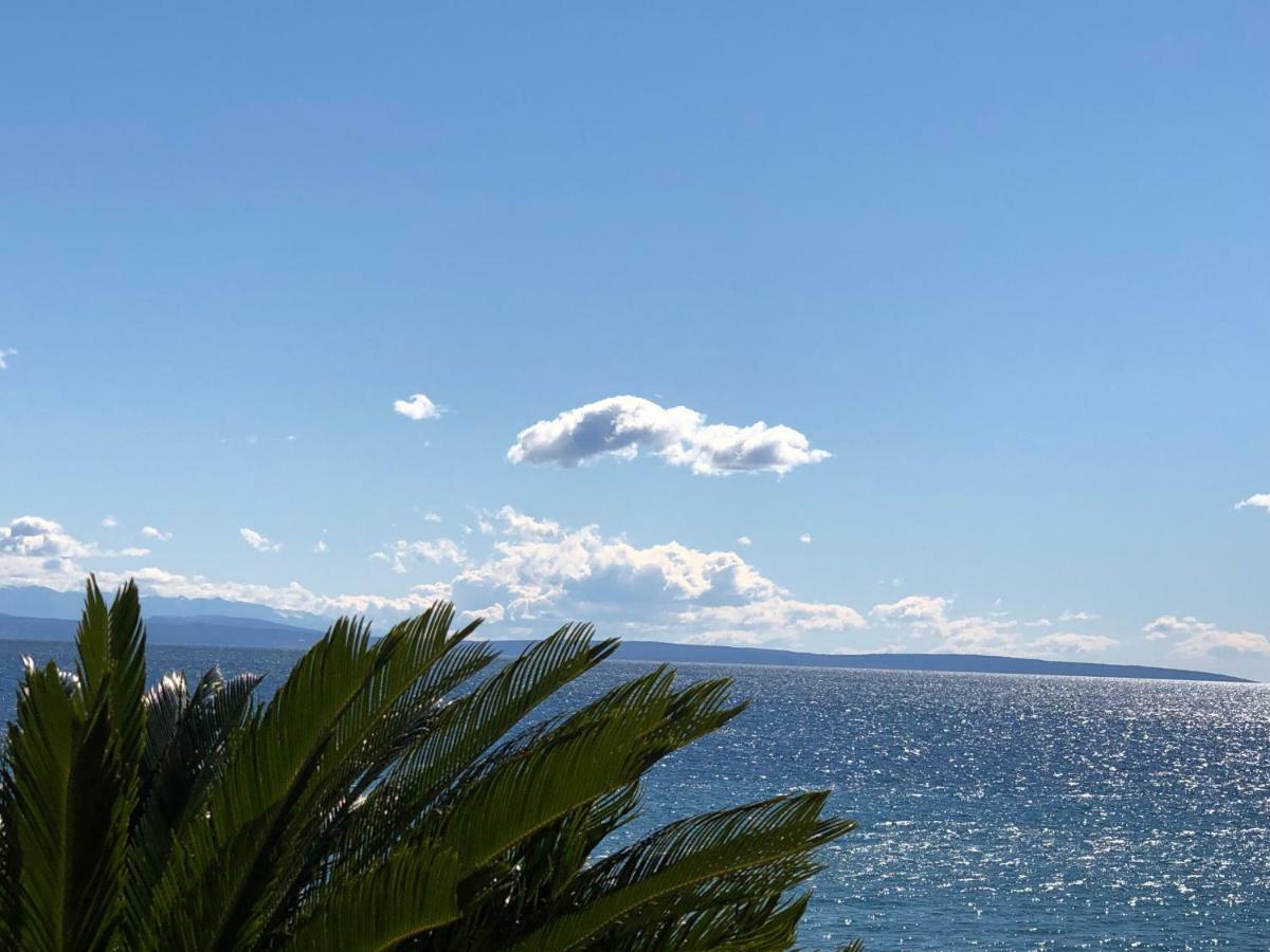 Apartments Roberta Novigrad Istria Dış mekan fotoğraf